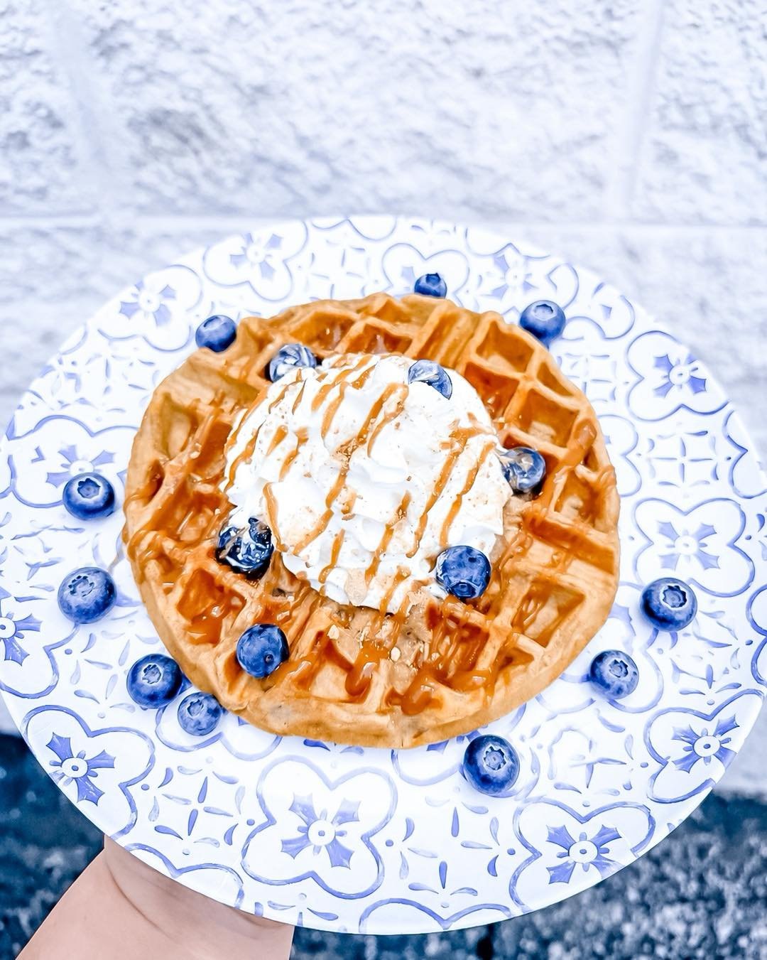 Protein waffle